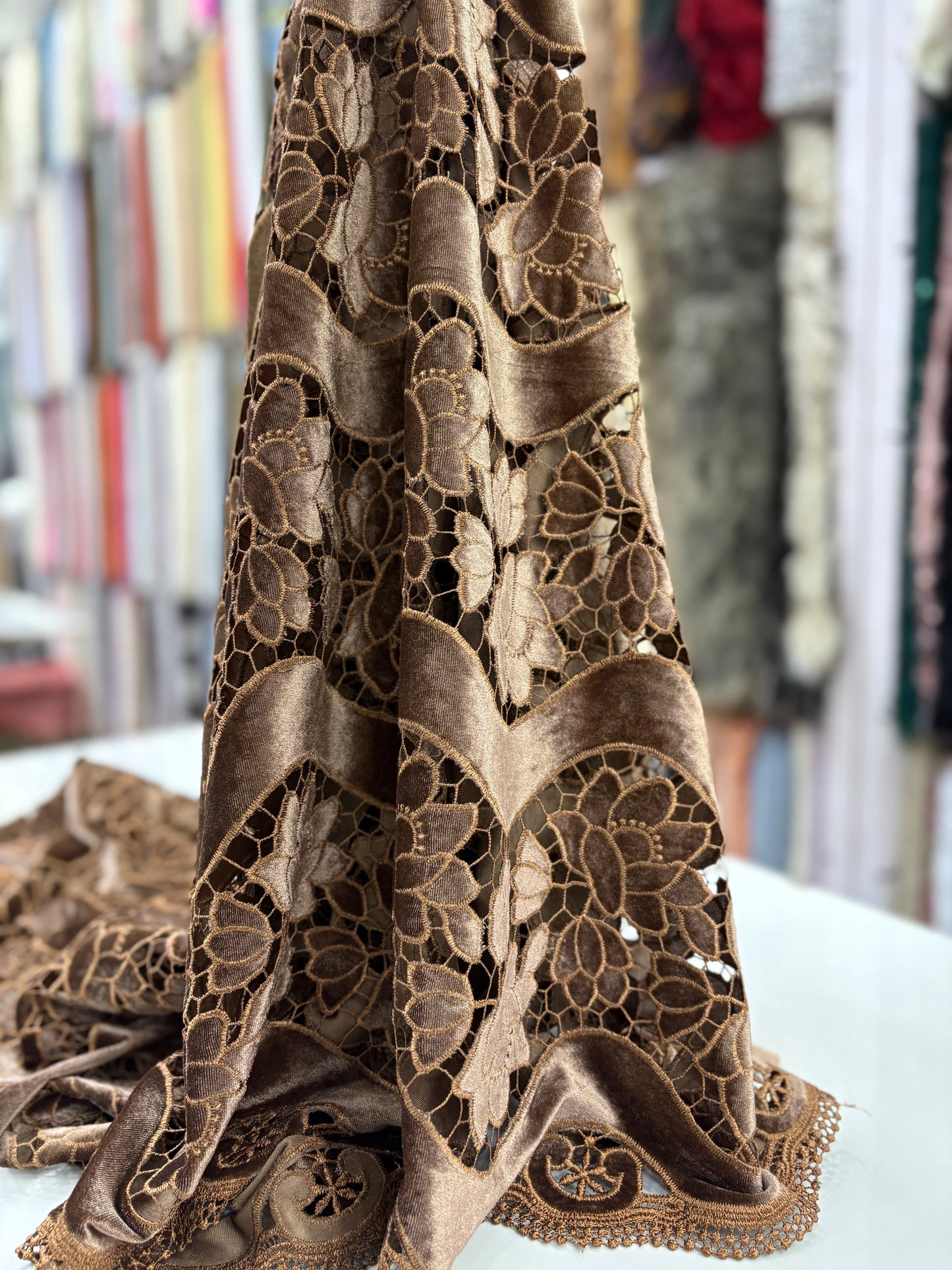 Velvet Cutwork With Border